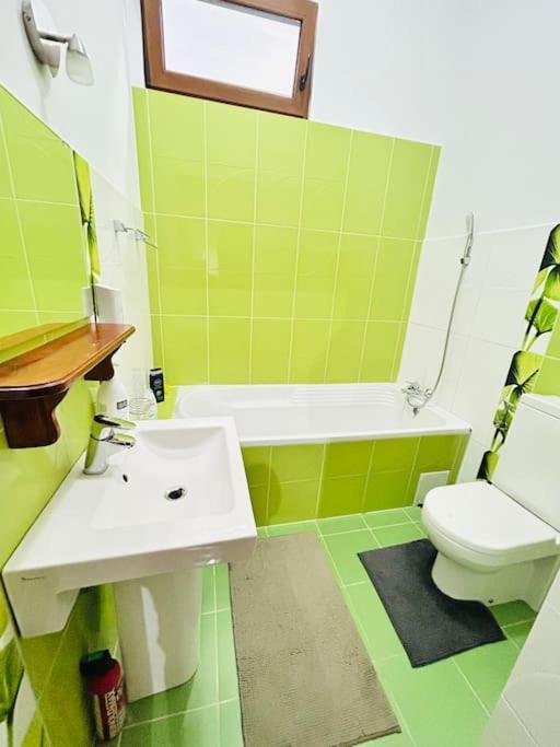 Hidden Gem In The Old Town Apartment Timisoara Bagian luar foto