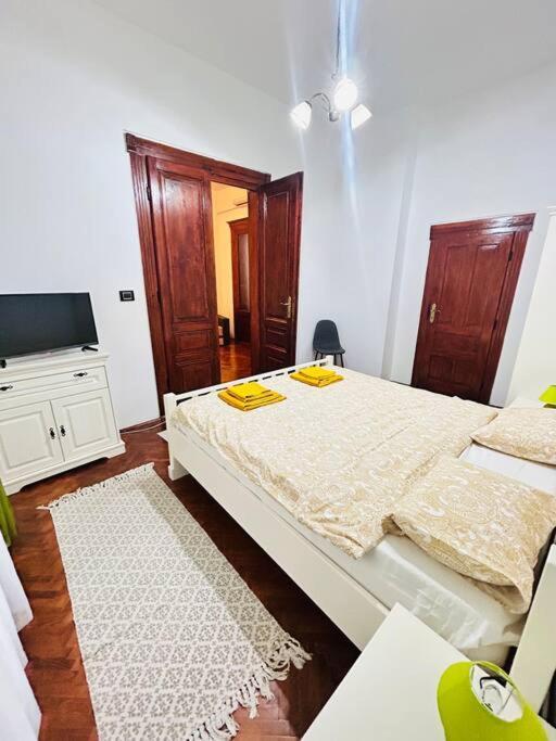 Hidden Gem In The Old Town Apartment Timisoara Bagian luar foto