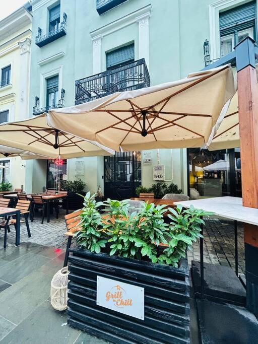 Hidden Gem In The Old Town Apartment Timisoara Bagian luar foto