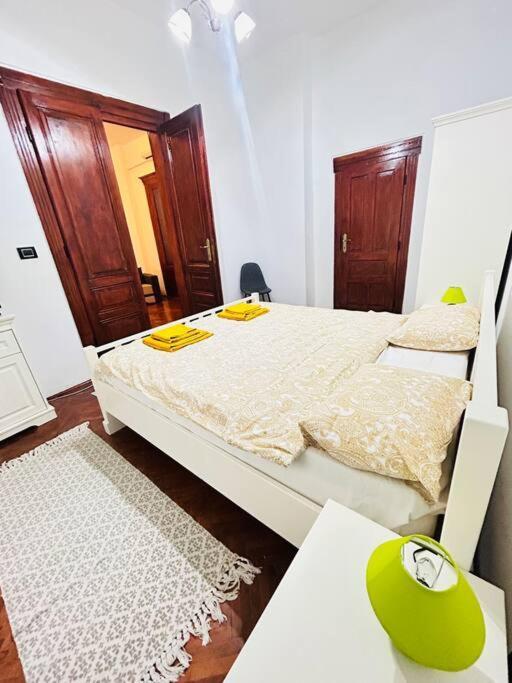 Hidden Gem In The Old Town Apartment Timisoara Bagian luar foto