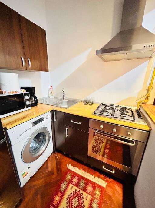 Hidden Gem In The Old Town Apartment Timisoara Bagian luar foto